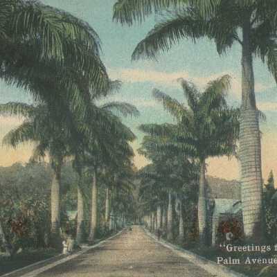 Postcard