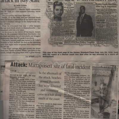 Newspaper
