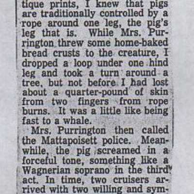 Newspaper