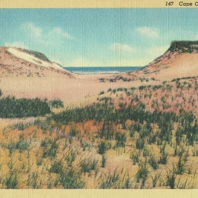 Postcard