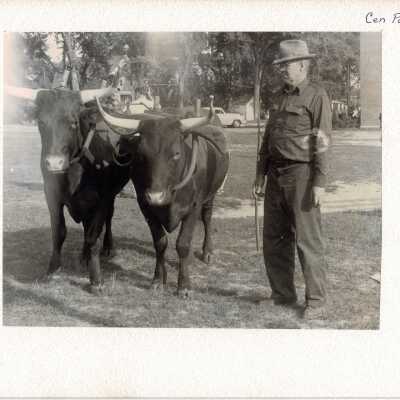 Print, Photographic