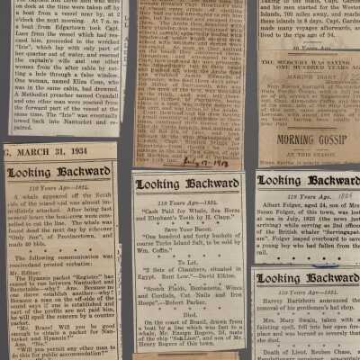 Newspaper