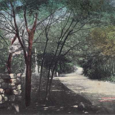 Postcard