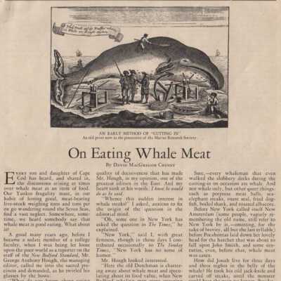 Newspaper