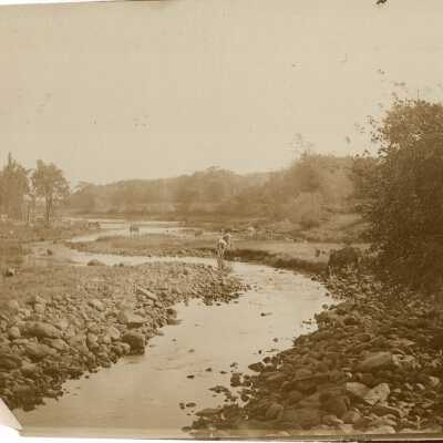 Print, Photographic