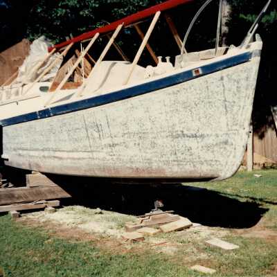 Digital Photograph