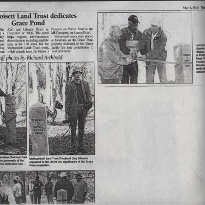 Newspaper