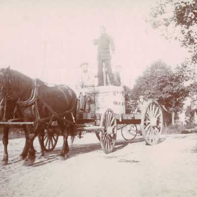 Print, Photographic