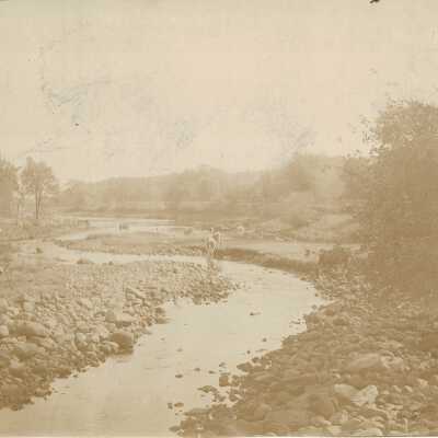 Print, Photographic