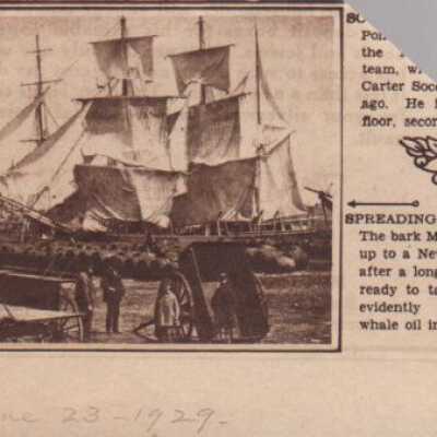 Newspaper