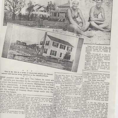 Newspaper