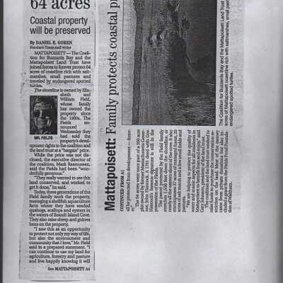 Newspaper