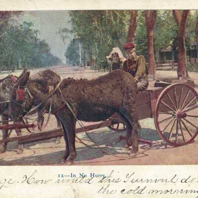 Postcard