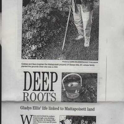 Newspaper
