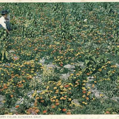 Postcard