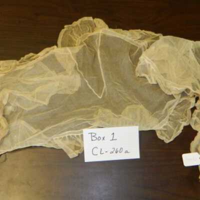 1910 wedding dress shawl