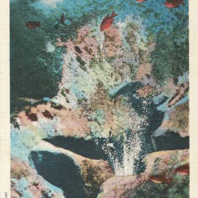 Postcard