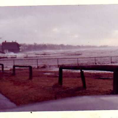 Hurricane at the Harbor