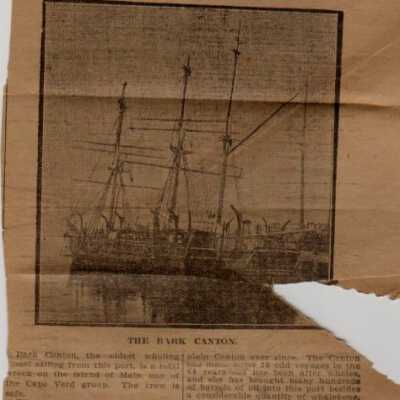 Newspaper