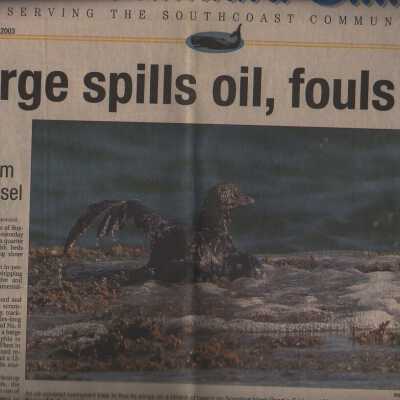 Newspaper