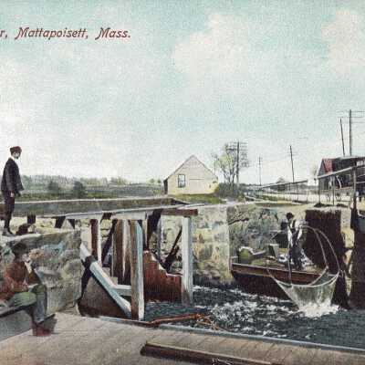 Postcard