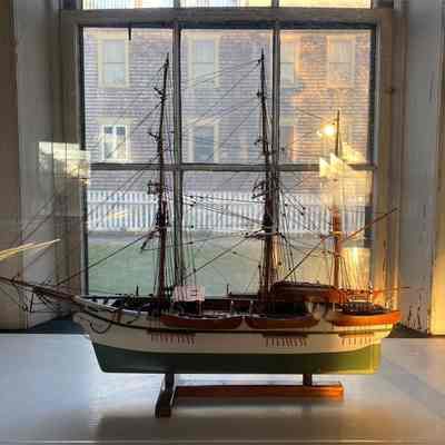 Model of the Bark Wanderer