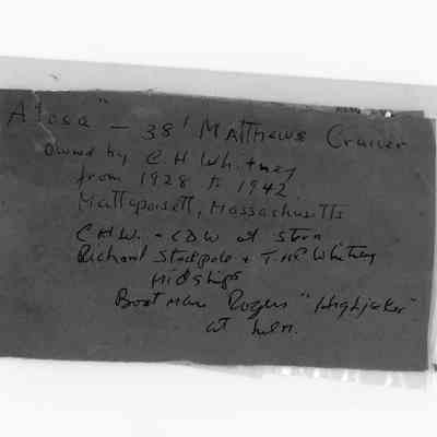 Description of "Alosa" Photograph