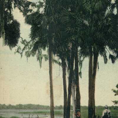 Postcard