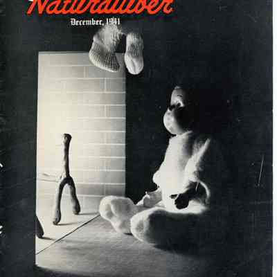 The Lion Oil Naturaluber December 1941