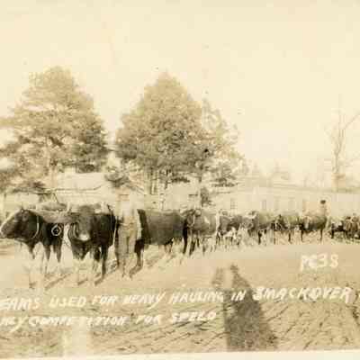 Ox Teams Used for Heavy Hauling in Smackover Oil Fields Postcard