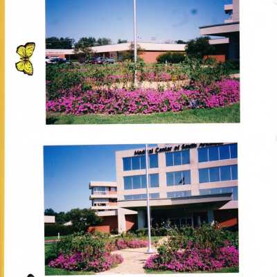 MCSA 2002 Scrapbook 3: Origformat: Artifact