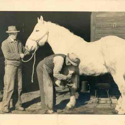 Unidentified Men with a Horse Photograph