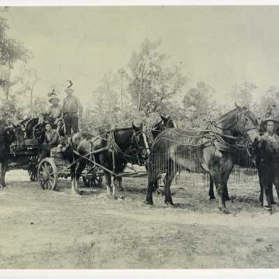 Horse team in oil fields: Origsize: 10"X8"; Origformat: Artifact