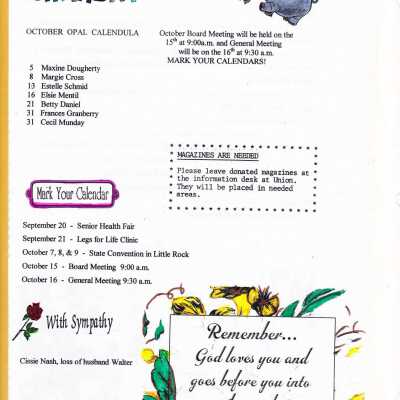 MCSA 2002 Scrapbook 31: Origformat: Artifact