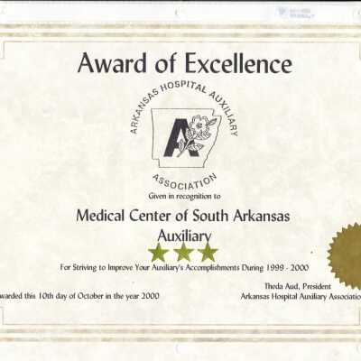 MCSA 2001 Scrapbook 11: Origformat: Artifact