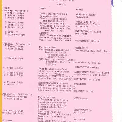 MCSA 2001 Scrapbook 51: Origformat: Artifact