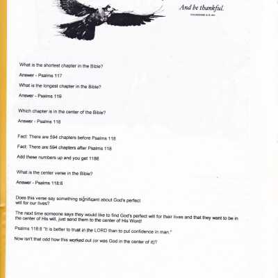 MCSA 2002 Scrapbook 105: Origformat: Artifact