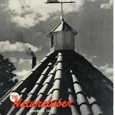 The Lion Oil Naturaluber November 1941