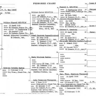 Newton Pedegree Chart: Copyright: none; Origsize: 8" x 14"; Origformat: Other