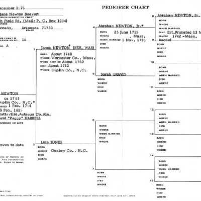 Newton Pedigree Chart: Copyright: none; Origsize: 8" x 14"; Origformat: Other
