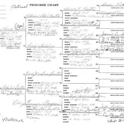 Newton Harrell Beavert Pedigree Chart: Copyright: none; Origsize: 8" x 14"; Origformat: Other