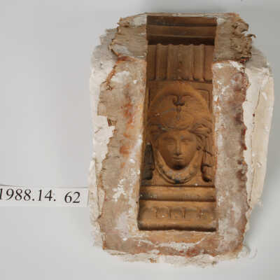 Mold, Plaster