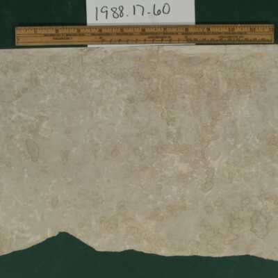 Wallcovering, Ceiling