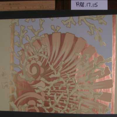 Wallcovering, Frieze