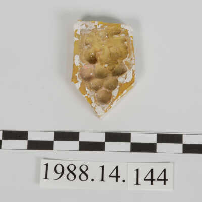 Mold, Plaster