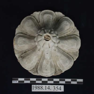 Medallion, Ceiling, Plaster