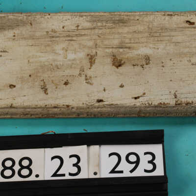 Panel