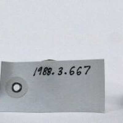 1988.3.667a