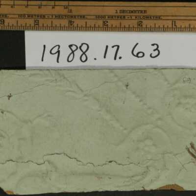 Wallcovering, Fragment