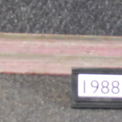 Rail